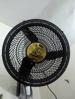 Bianco Wall Fan 1